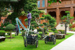 Thailand-Koh-Chang-Santhiya-Tree-Resort-Formschnitt