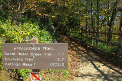 USA, North Carolina, Great Smoky Mountains Nationalpark, Appalachian Trail