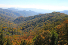 USA, North Carolina, Great Smoky Mountains Nationalpark