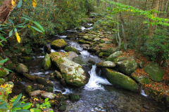 USA, North Carolina, Great Smoky Mountains Nationalpark