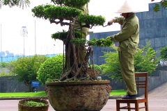 Hanoi, Gärtner bei der Arbeit